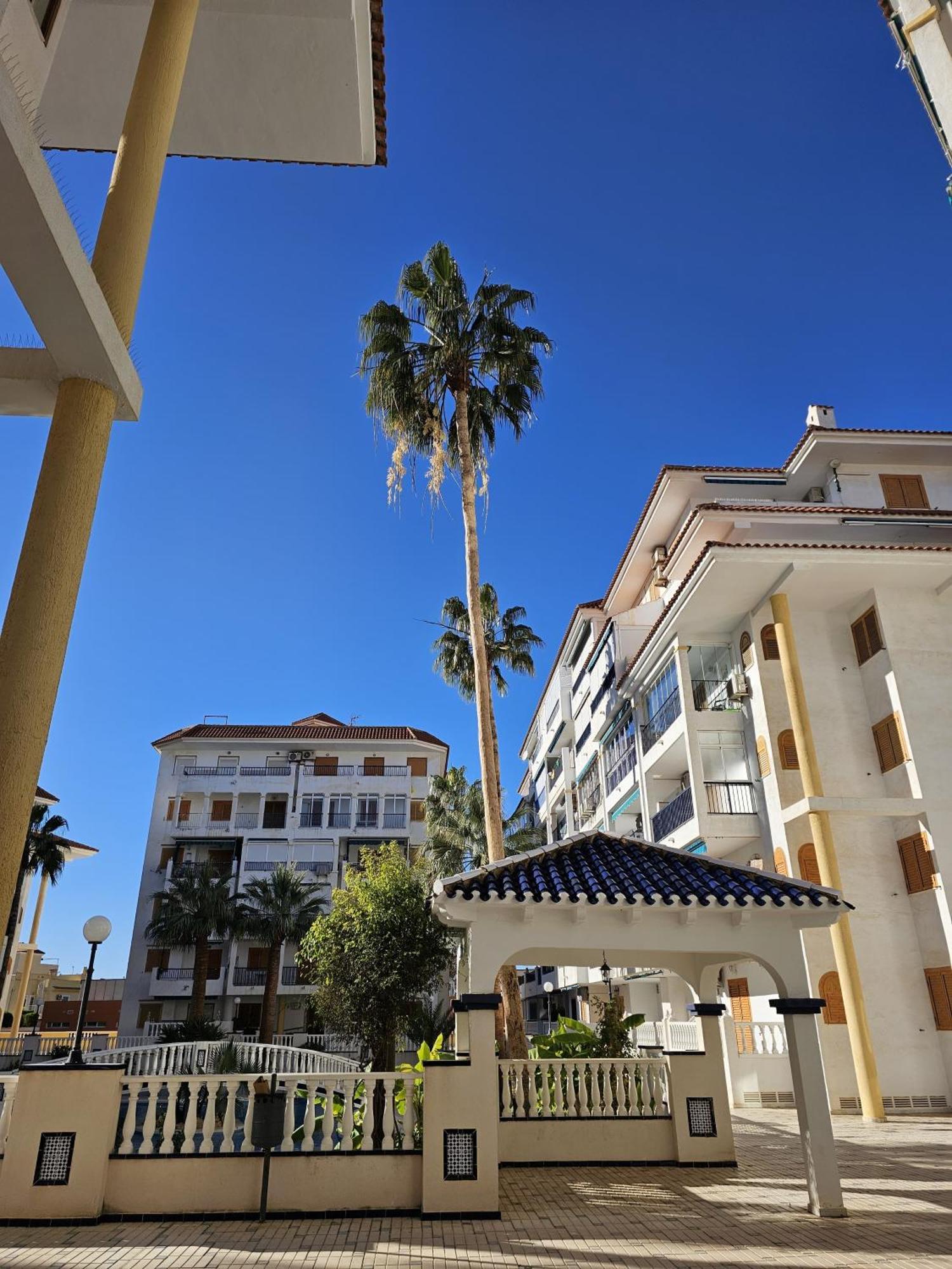 At Costa Blanca - Cozy Apartment With Pool La Mata  Buitenkant foto